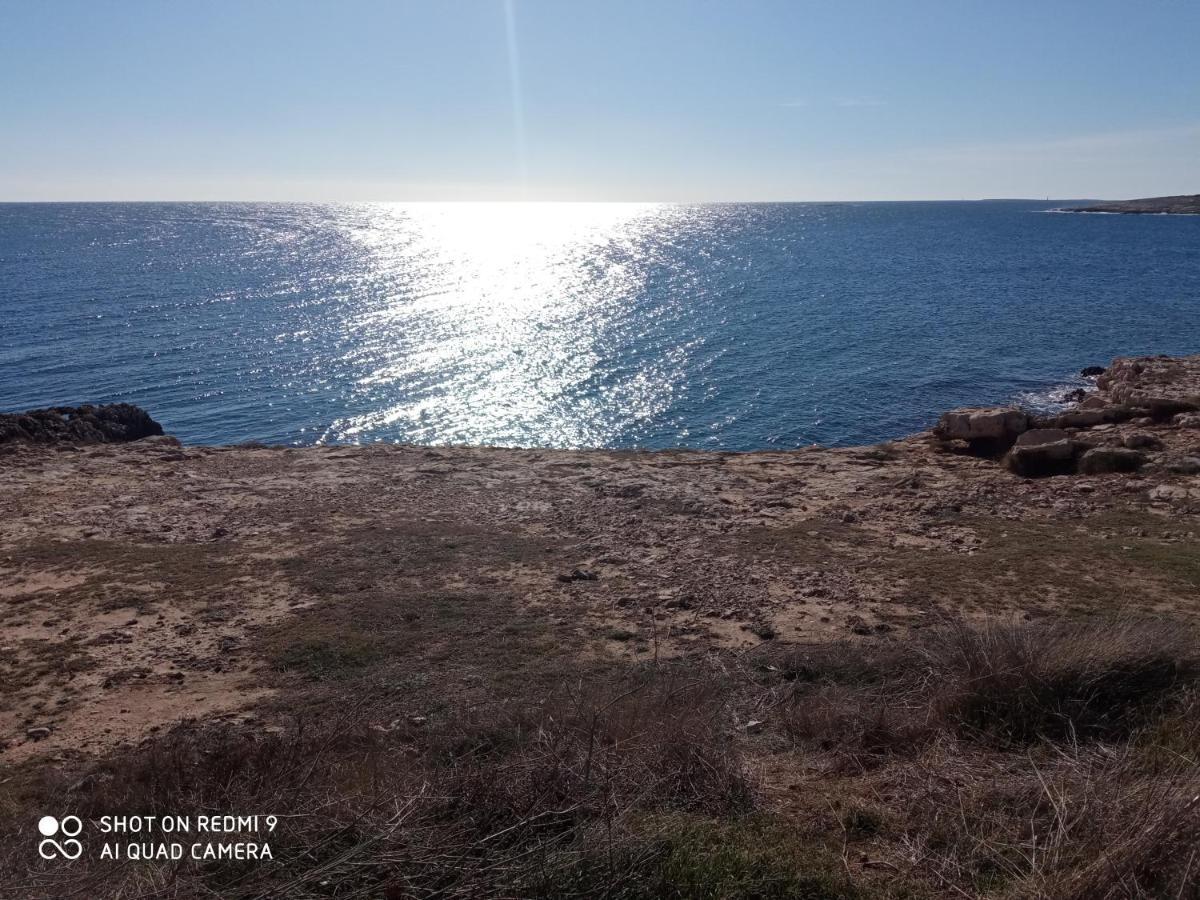 Villa Mala Kuca Sa Velikim Grijanim Bazenom Antonio Šišan Exterior foto